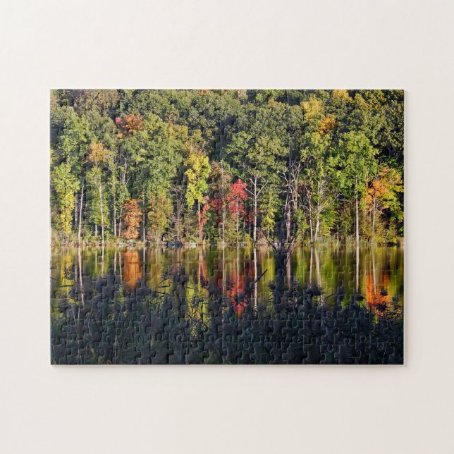 Herbst auf Beardsley-Teich (Horizontal)