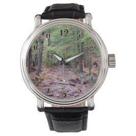 Herbst auf Blue Hills Reservation Red Dot Trail Armbanduhr
