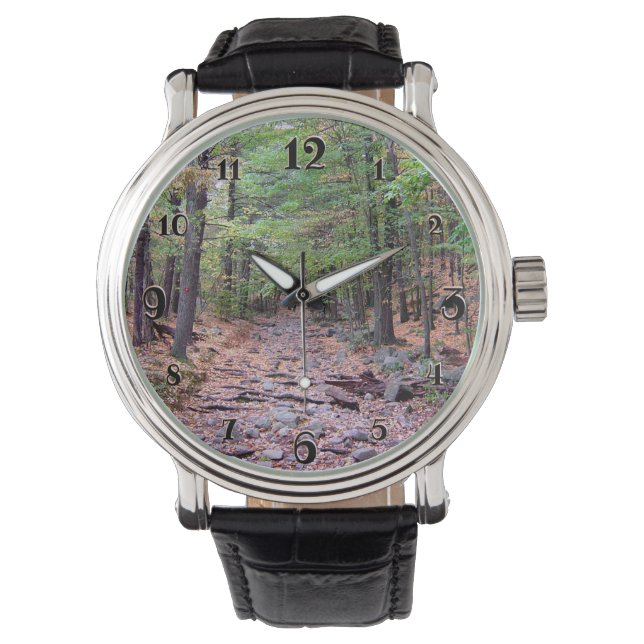Herbst auf Blue Hills Reservation Red Dot Trail Armbanduhr (Vorderseite)
