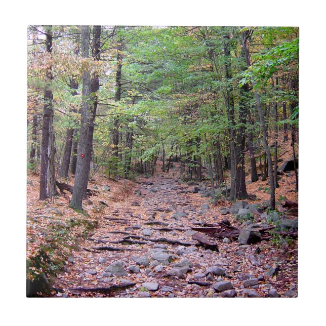 Herbst auf Blue Hills Reservation Red Dot Trail Fliese (Vorderseite)