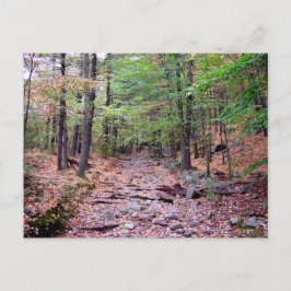 Herbst auf Blue Hills Reservation Red Dot Trail Postkarte