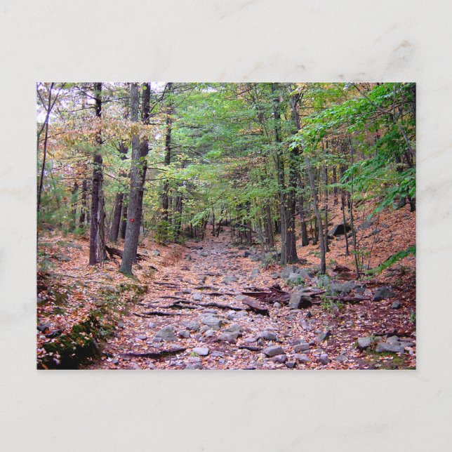 Herbst auf Blue Hills Reservation Red Dot Trail Postkarte (Vorderseite)