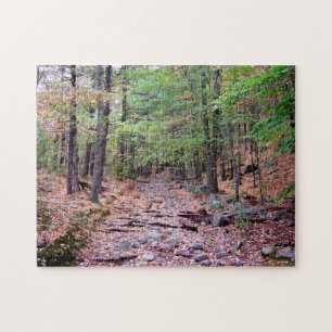 Herbst auf Blue Hills Reservierung Roter Dot Trail