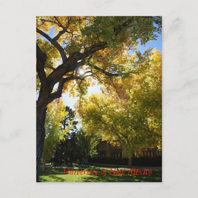 Herbst auf Campus II Postkarte (Vorderseite)