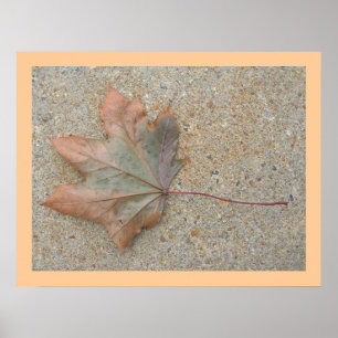 Herbst auf dem Bürgersteig Poster