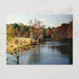 Herbst auf der Bayou Postkarte