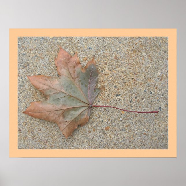 Herbst auf der Sidewalk Poster (Vorne)