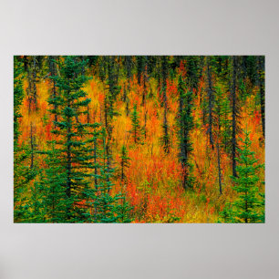 Herbst auf der Wiese Poster