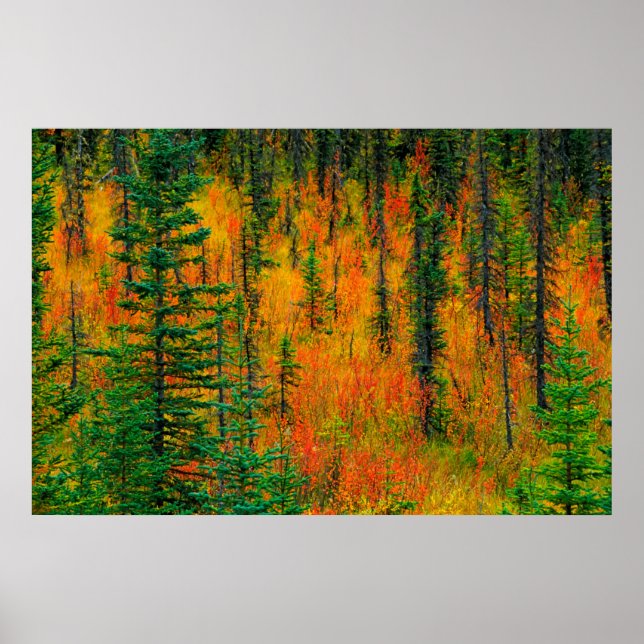Herbst auf der Wiese Poster (Vorne)