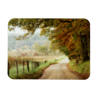 Herbst auf einer Landstraße