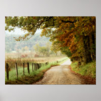 Herbst auf einer Landstraße