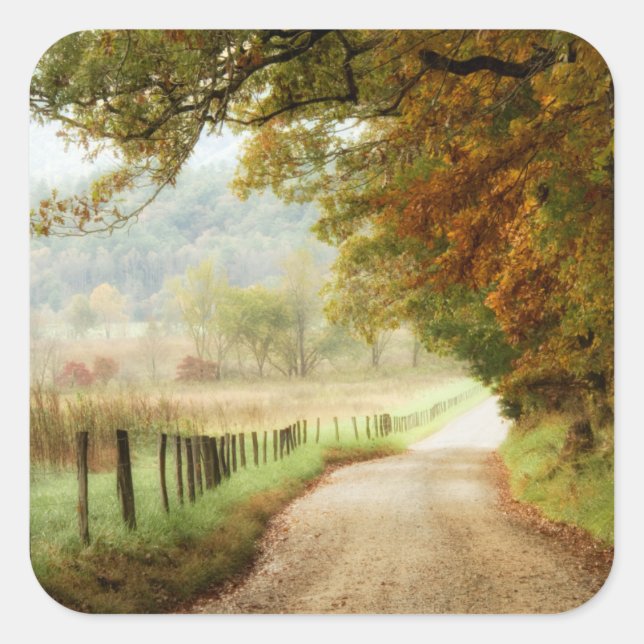 Herbst auf einer Landstraße Quadratischer Aufkleber (Vorderseite)