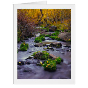 "Herbst auf Mill Creek"