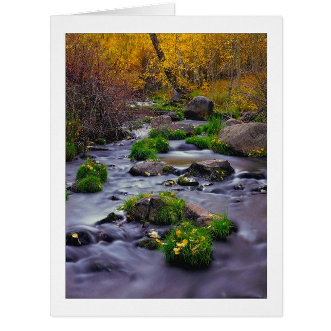 "Herbst auf Mill Creek" (Vorderseite)
