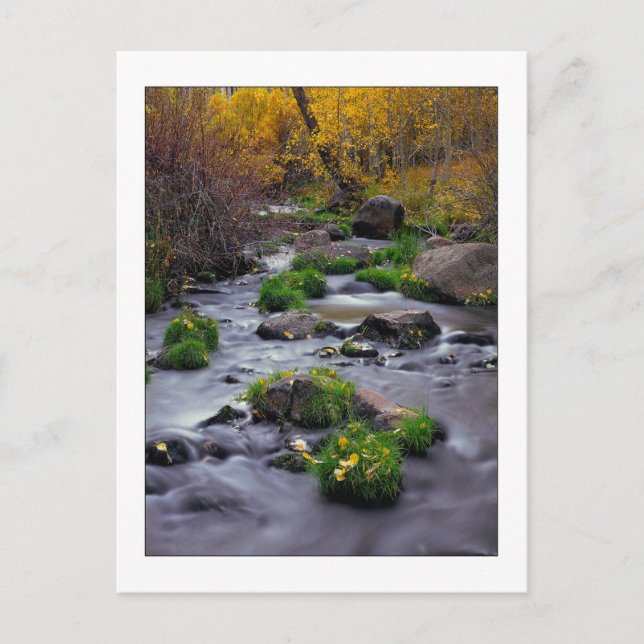 "Herbst auf Mill Creek" Postkarte (Vorderseite)