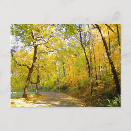 Herbst Bäume 2004 Foto ... Bradley Park Postkarte