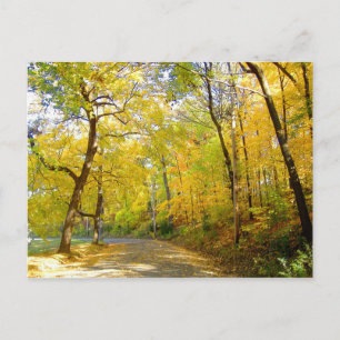 Herbst Bäume 2004 Foto ... Bradley Park Postkarte