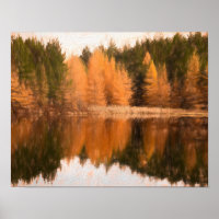 Herbst Bäume Der Mensch und die Weintrauben