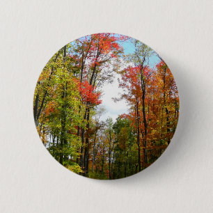 Herbst Bäume und Blue Sky Herbst Natur Fotografie Button