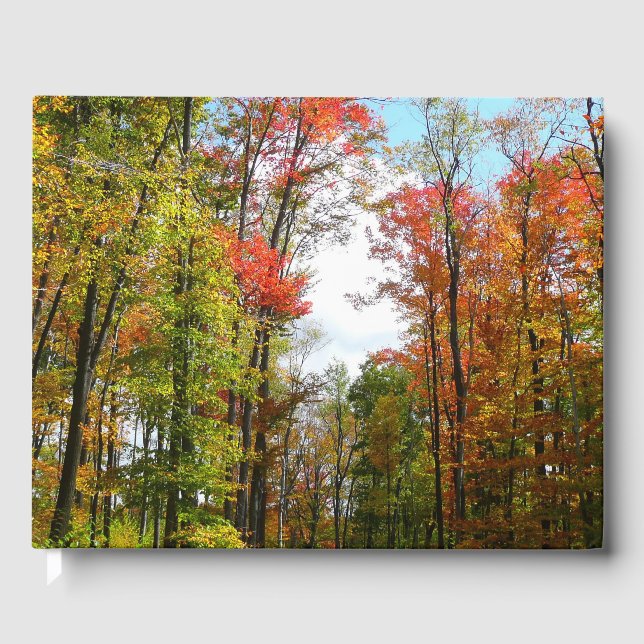 Herbst Bäume und Blue Sky Herbst Natur Fotografie Gästebuch (Vorderseite)