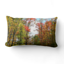 Herbst Bäume und Blue Sky Herbst Natur Fotografie