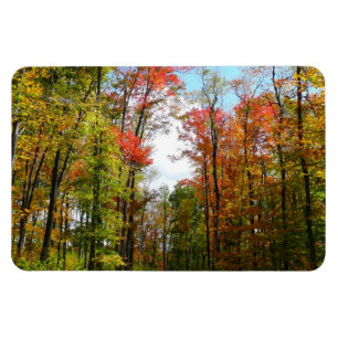 Herbst Bäume und Blue Sky Herbst Natur Fotografie Magnet