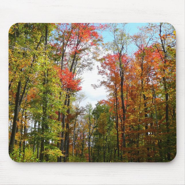Herbst Bäume und Blue Sky Herbst Natur Fotografie Mousepad (Vorne)