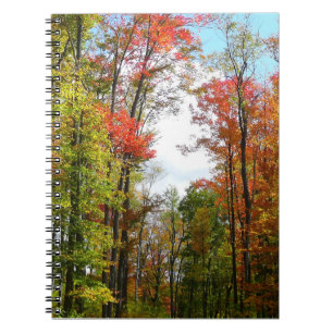 Herbst Bäume und Blue Sky Herbst Natur Fotografie Notizblock