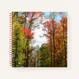Herbst Bäume und Blue Sky Herbst Natur Fotografie Notizbuch