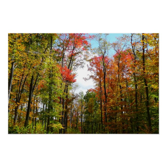 Herbst Bäume und Blue Sky Herbst Natur Fotografie Poster (Vorderseite)