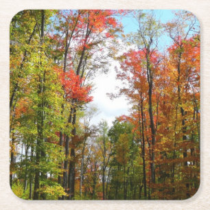 Herbst Bäume und Blue Sky Herbst Natur Fotografie Rechteckiger Pappuntersetzer