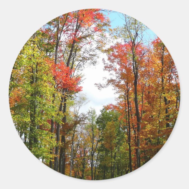Herbst Bäume und Blue Sky Herbst Natur Fotografie Runder Aufkleber (Vorderseite)