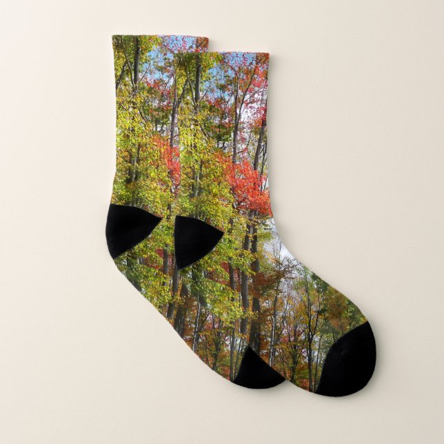 Herbst Bäume und Blue Sky Herbst Natur Fotografie Socken (Paar)