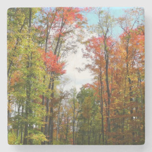 Herbst Bäume und Blue Sky Herbst Natur Fotografie Steinuntersetzer