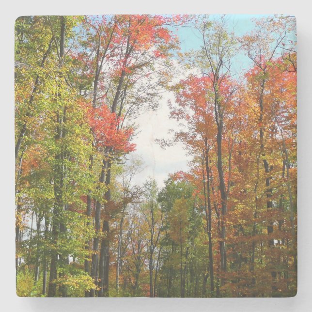 Herbst Bäume und Blue Sky Herbst Natur Fotografie Steinuntersetzer (Vorderseite)