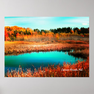 Herbst Bäume und Marshland Neufundland Kanada Poster