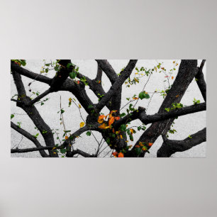 Herbst-Baumzweige Poster