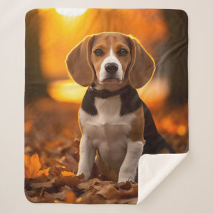 Herbst Beagle Pup Sherpadecke