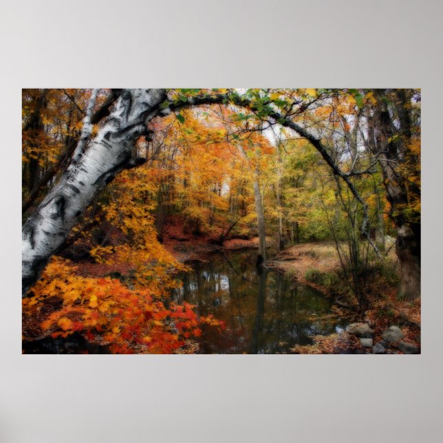 Herbst bei versteinerten Quellen Poster (Vorne)