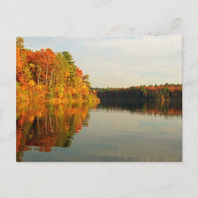 Herbst bei Walden Postkarte (Vorderseite)