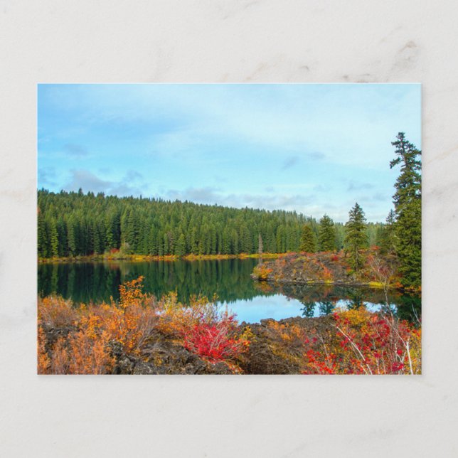 Herbst beim Clear Lake Postcard Postkarte (Vorderseite)