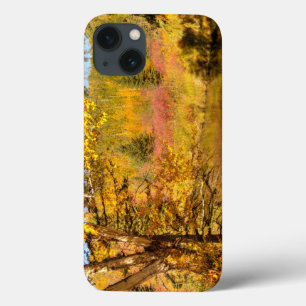 Herbst-Birken-Baum Case-Mate iPhone Hülle