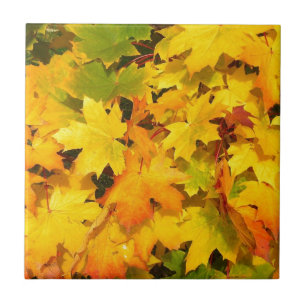 Herbst-Blatt färbt Baum-Party-Schicksals-Feier Fliese