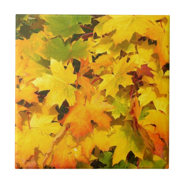 Herbst-Blatt färbt Baum-Party-Schicksals-Feier Fliese (Vorderseite)