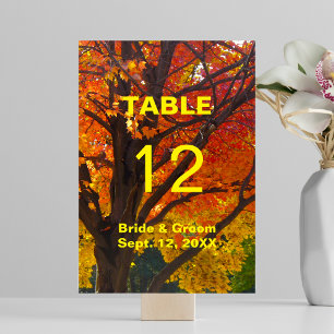 Herbst-Blatt Hochzeitstischkarte Tischnummer