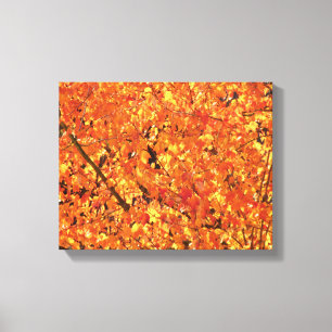 Herbst Blätter auf Baum - Foto. Leinwanddruck