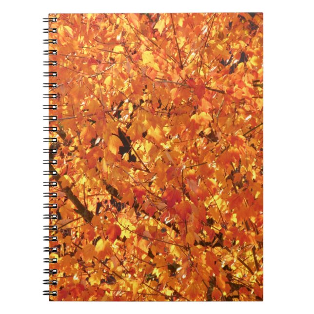 Herbst Blätter auf Baum - Foto. Notizblock (Vorderseite)