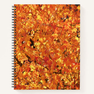 Herbst Blätter auf Baum - Foto. Notizbuch