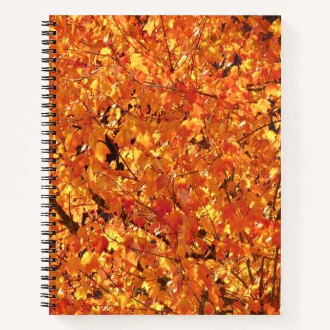 Herbst Blätter auf Baum - Foto. Notizbuch (Vorderseite)