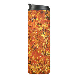Herbst Blätter auf Baum - Foto. Thermosbecher
